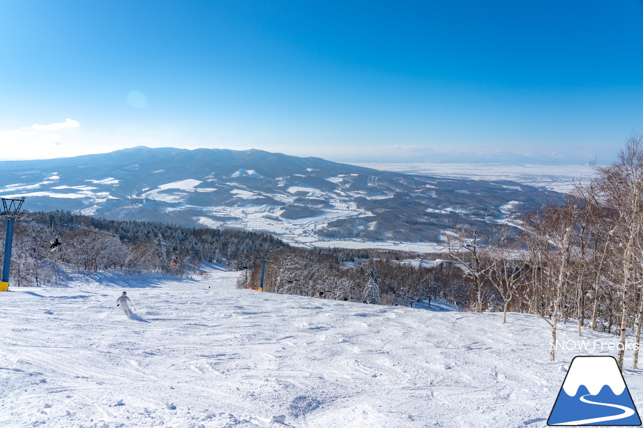 カムイスキーリンクス｜2024年の初滑りは、積雪豊富でコンディション抜群。日本最北のゴンドラリフトがある、旭川市のカムイスキーリンクスへ！